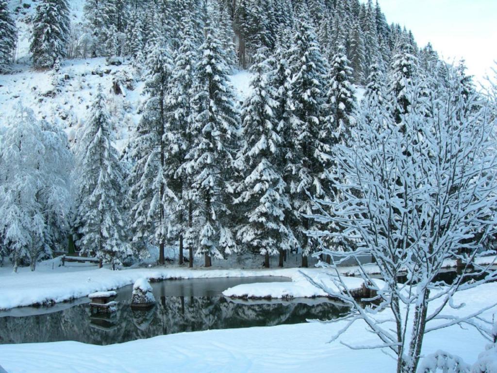 Hotel Evianquelle Bad Gastein Buitenkant foto